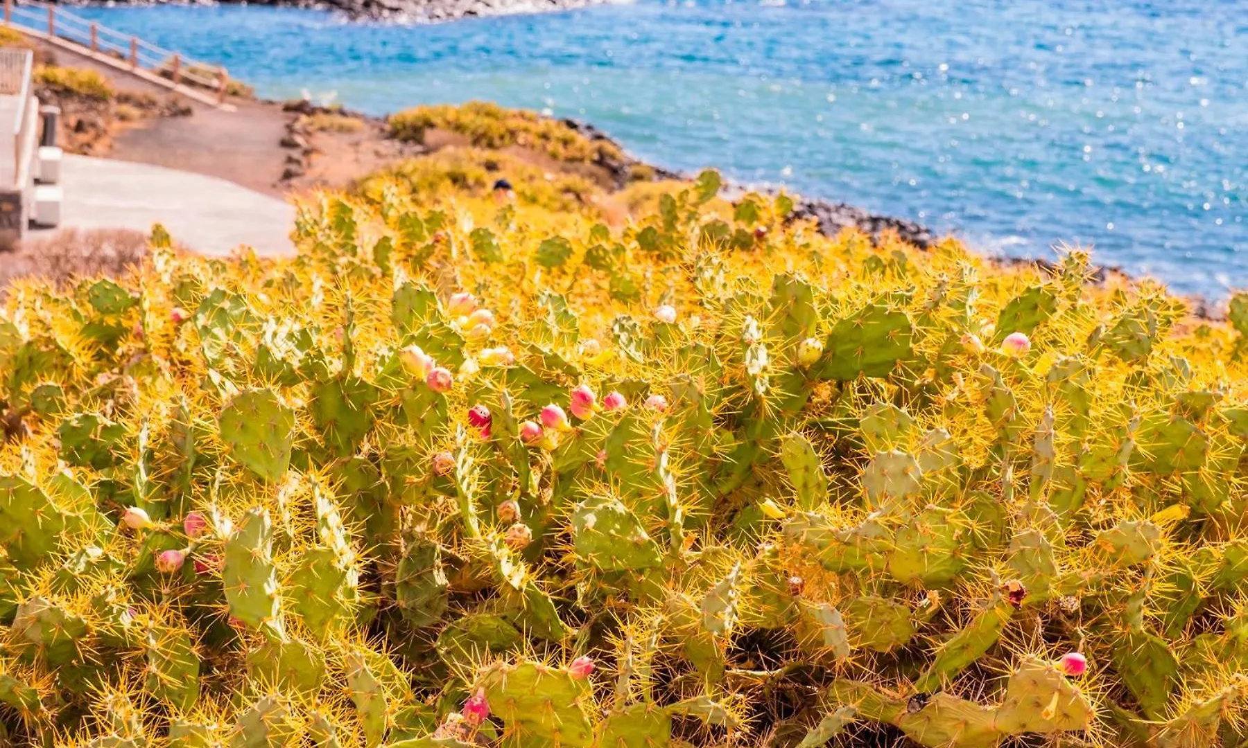 Prázdninový dům Oceanfront Villa - Amarilla Breeze San Miguel de Abona